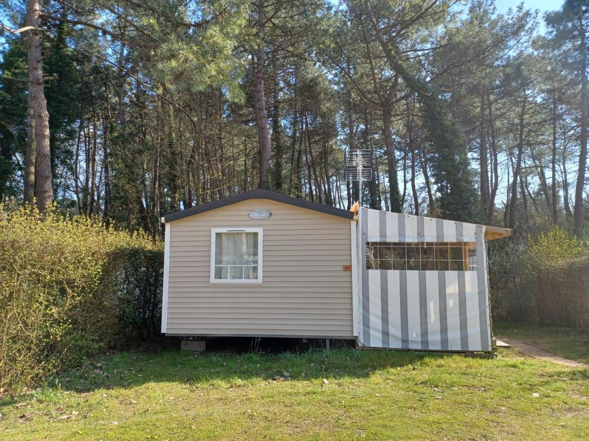 Camping La Dune Blanche 카미에르 외부 사진